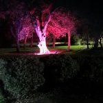 Outdoor Garden Lights installation by Kent Electrical & Fire